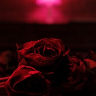 Paper Kites - Roses (Black & Red Vinyl) (LP)
