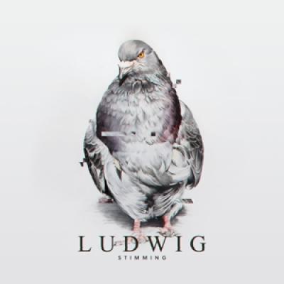 Stimming - Ludwig (2LP)