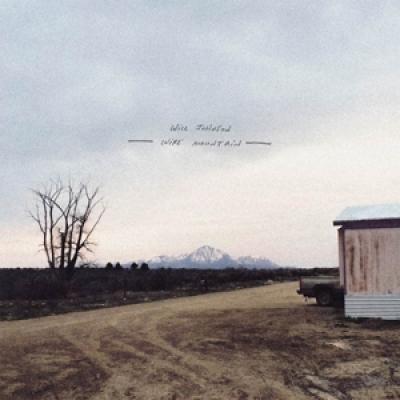 Johnson, Will - Wire Mountain (LP)