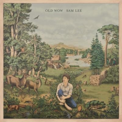 Lee, Sam - Old Wow (LP)
