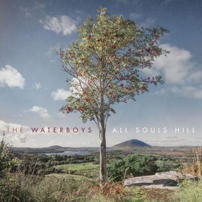 Waterboys - All Souls Hill (LP) (Red Vinyl)