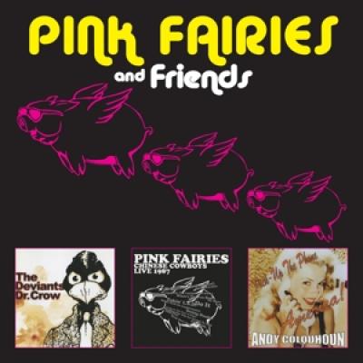 Pink Fairies - Pink Fairies And Friends (3CD)