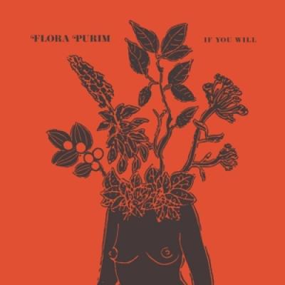 Purim, Flora - If You Will (LP)