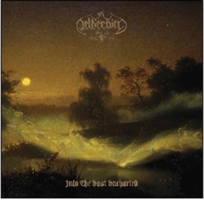Netherbird - Into The Vast Uncharted (LP)