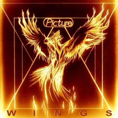 Picture - Wings (LP)