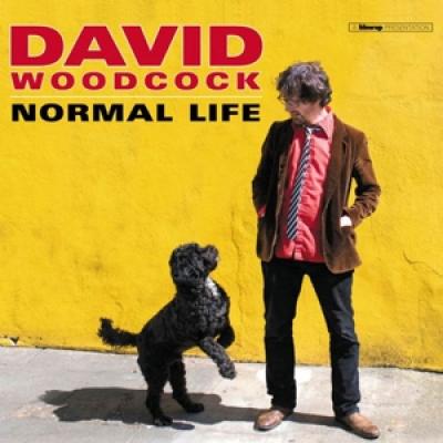 Woodcock, David - Normal Life (LP)