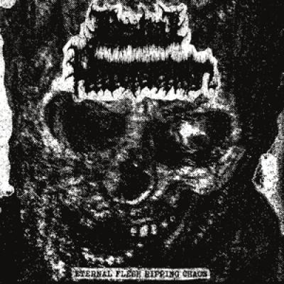 Bestial Putrefaction - Eternal Flesh Ripping Chaos (LP)