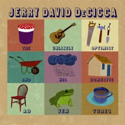 Decicca, Jerry David - Unlikely Optimist And His Domestic Adventures (LP)