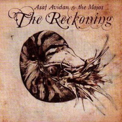 Avidan, Asaf & The Mojos - Reckoning (cover)