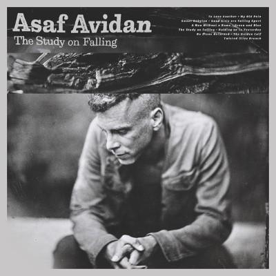 Avidan, Asaf - Study On Falling (LP)