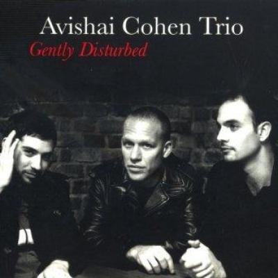 Avishai Cohen Trio - Gently Disturbed (cover)