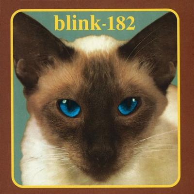 Blink 182 - Cheshire Cat (cover)