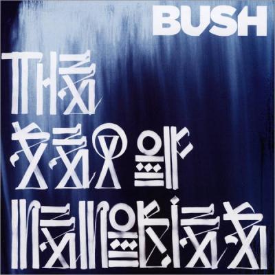 Bush - Sea Of Memories (cover)