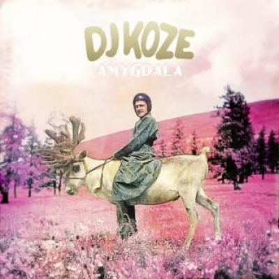 DJ Koze - Amygdala (cover)