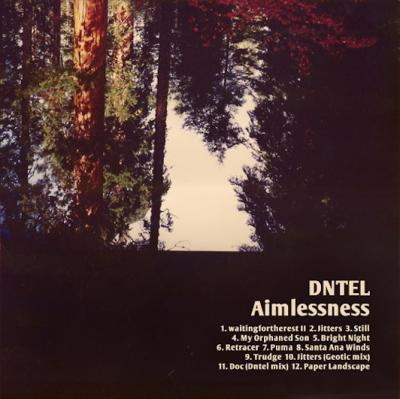 DNTEL - Aimlessness (cover)