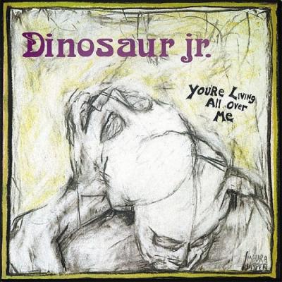 Dinosaur Jr. - You're Living All Over Me (cover)