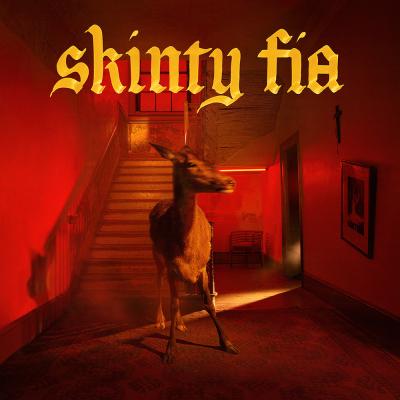 Fontaines Dc - Skinty Fia (With 20 Page Lyric Book) (2LP)