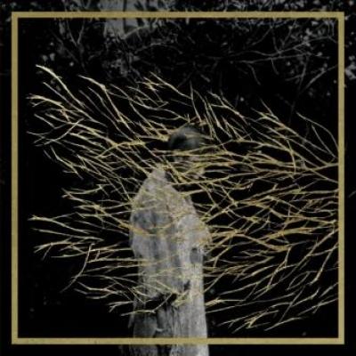 Forest Swords - Engravings (LP) (cover)