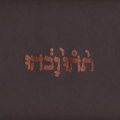 Godspeed You Black Emperor - Slow Riot For New Zero (LP) (cover)