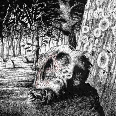 Grave - Necropsy: Complete Demo Recordings (2CD) (cover)