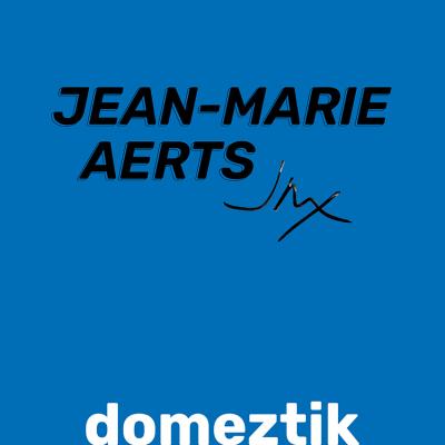 Jean-Marie Aerts (JMX) - Domeztik (LP) (Lim. Ed.)
