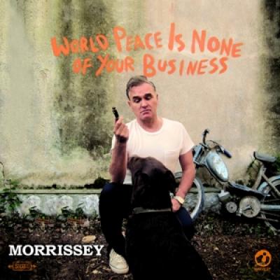 Morrissey - World Peace Is None Of.. (cover)