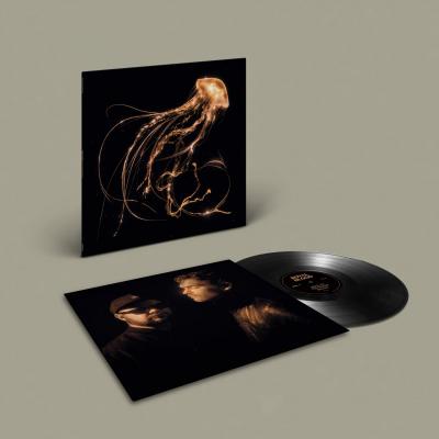 Royal Blood - Back To The Water Below (LP)