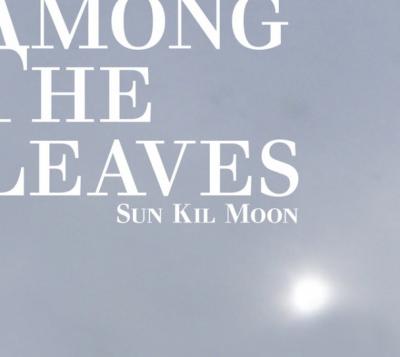 Sun Kil Moon - Among The Leaves (cover)