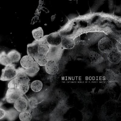 Tindersticks - Minute Bodies: the Intimate World (CD+DVD)