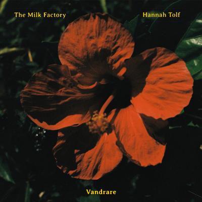 The Milk Factory & Hannah Tolf - Vandrare (LP)