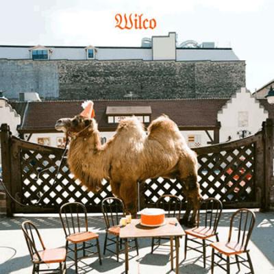 Wilco - Wilco (The Album) (cover)