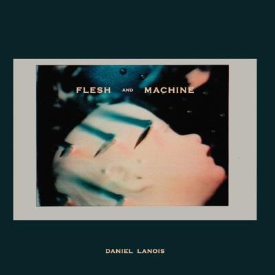 Lanois, Daniel - Flesh And Machine -lp+cd-