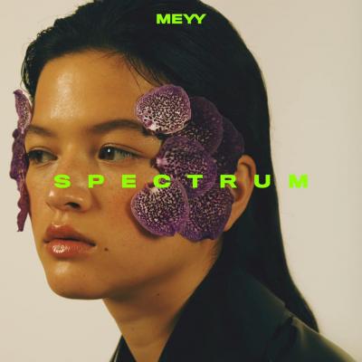 Meyy - Spectrum (12INCH)