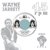 Wayne Jarrett & Roots Radics - Love In A Mi Heart/Blood On His Lip (7INCH)