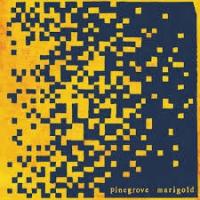 Pinegrove - Marigold (LP)