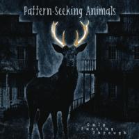 Pattern-Seeking Animals - Only Passing Through (Eco-Friendly Packaging)