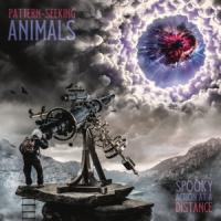 Pattern-Seeking Animals - Spooky Action At A Distance (2LP)