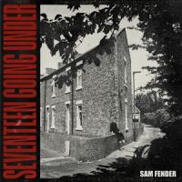 Fender, Sam - Seventeen Going Under (LP)