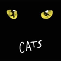 Ost - Cats - 1998 Musical (Music By Andrew Lloyd Webber / 180Gr.) (2LP)