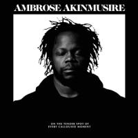 Akinmusire, Ambrose - On The Tender Spot Of Every Calloused Moment