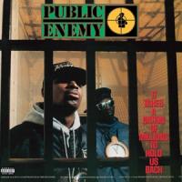 Public Enemy - It Takes A Nation Of Millions To Hold Us Back CD