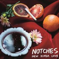 Notches - New Kinda Love (LP)