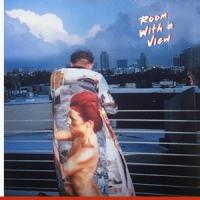 Spendtime Palace - Room With A View (LP)
