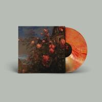 Bence, John - Love (Blood Orange) (LP)