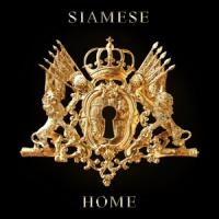 Siamese - Home (Gold Vinyl) (LP)