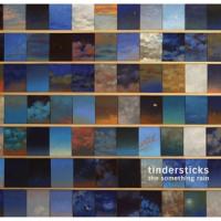 Tindersticks - The Something Rain (LP)
