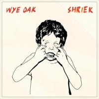 Wye Oak - Shriek (LP)
