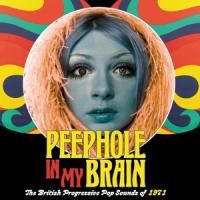 V/A - Peephole In My Brain (3CD)