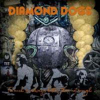 Diamond Dogs - Too Much Is  (Always Better Than Not Enough) (LP)
