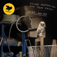 Erlend Apneseth Trio - Salika Molika CD